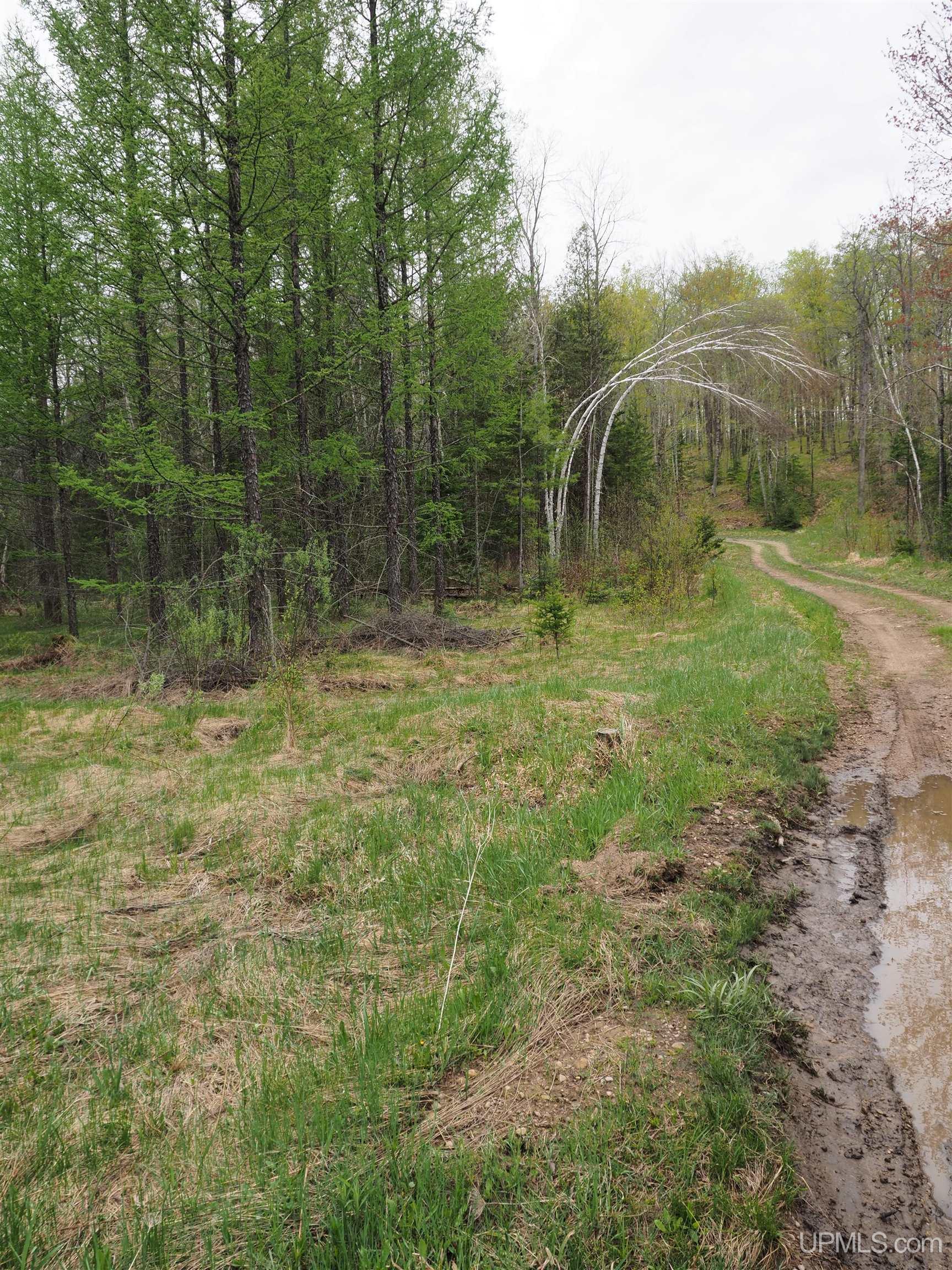 Tbd Vega Road Hermansville, MI 49847 - Photo 11 of 19