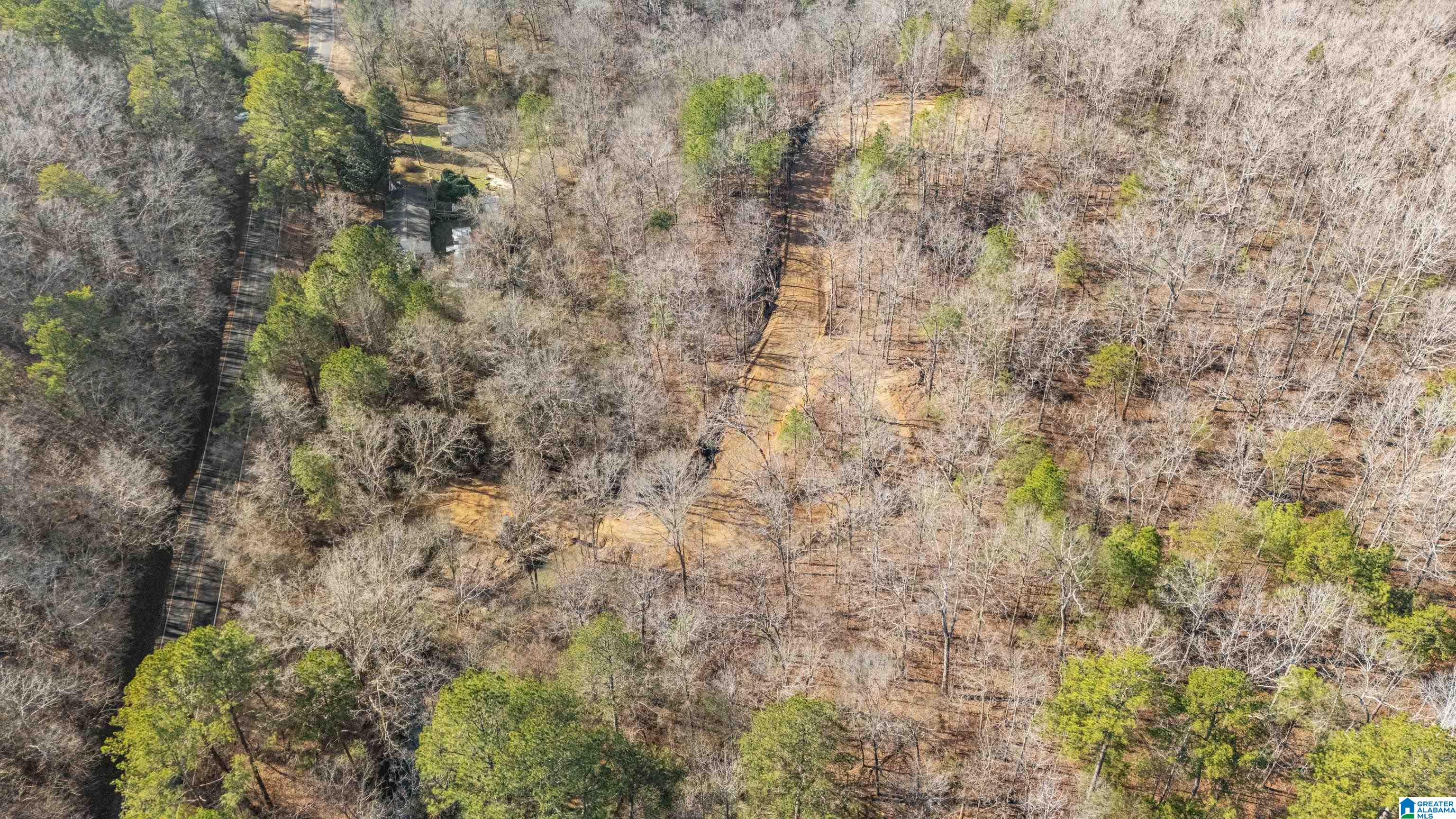 7019 Groundhog Road, Unit 1 Morris, AL 35116 - Photo 6 of 22
