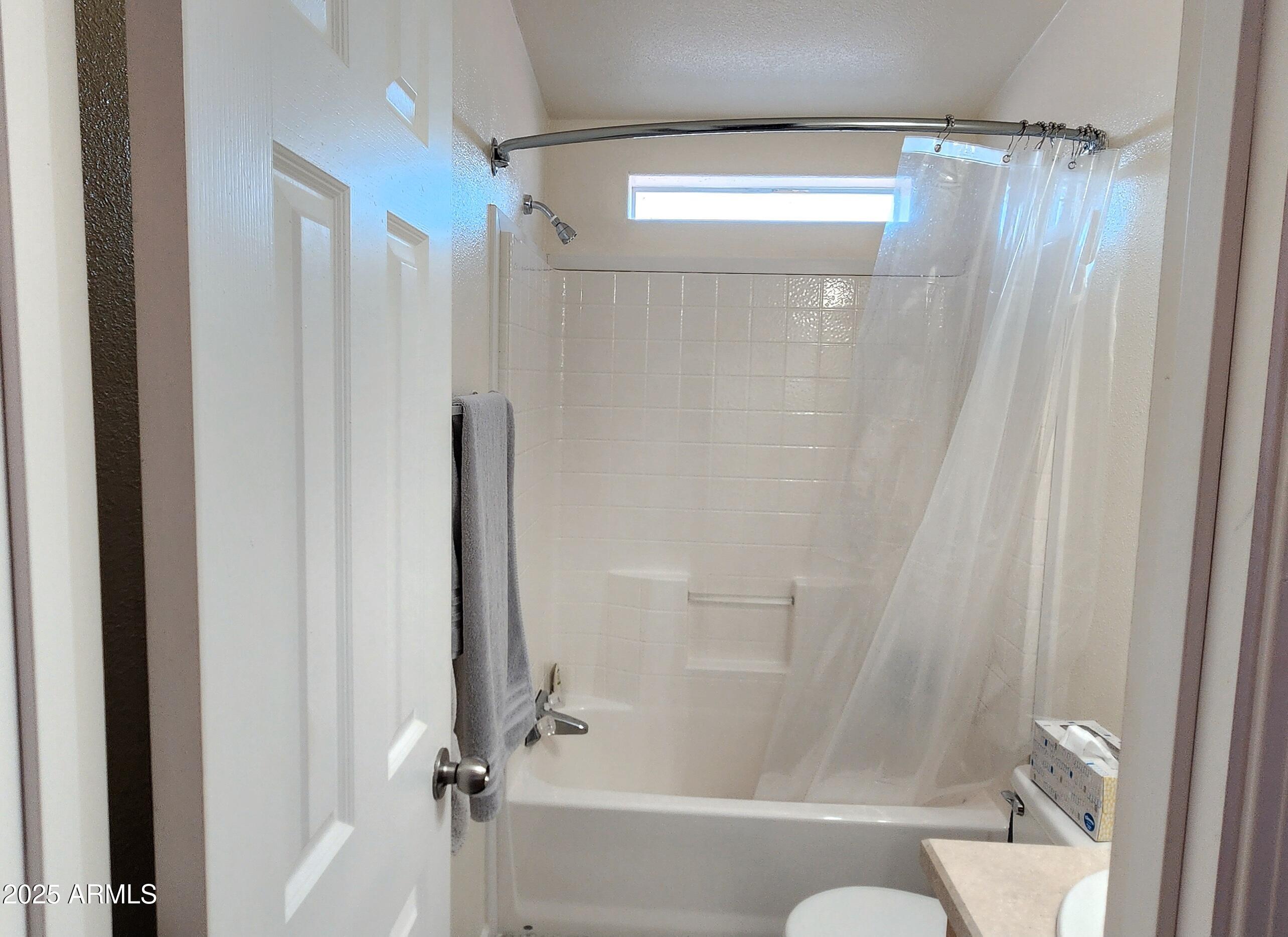 234 West Lone Ranger Trail Tonto Basin, AZ 85553 - Photo 26 of 27 a bathroom with a shower and a tub