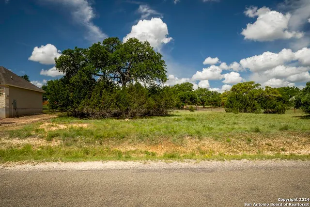 a front view of a house with yard and green space