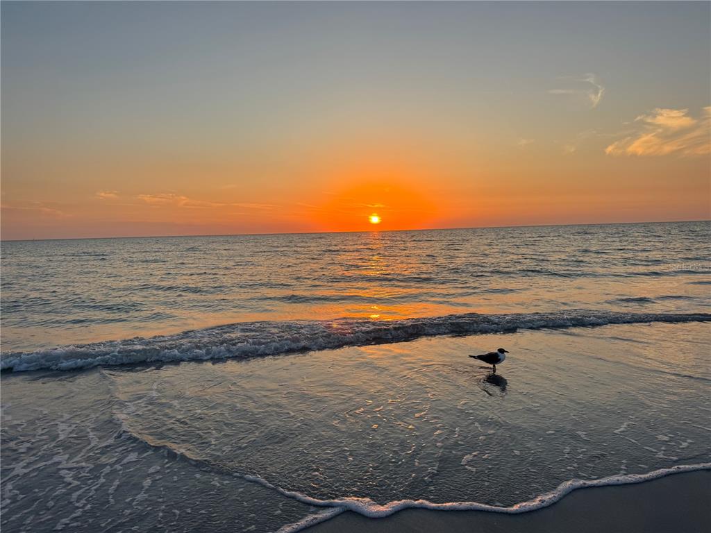 13343 Gulf Boulevard, Unit 14 Madeira Beach, FL 33708 - Photo 33 of 33