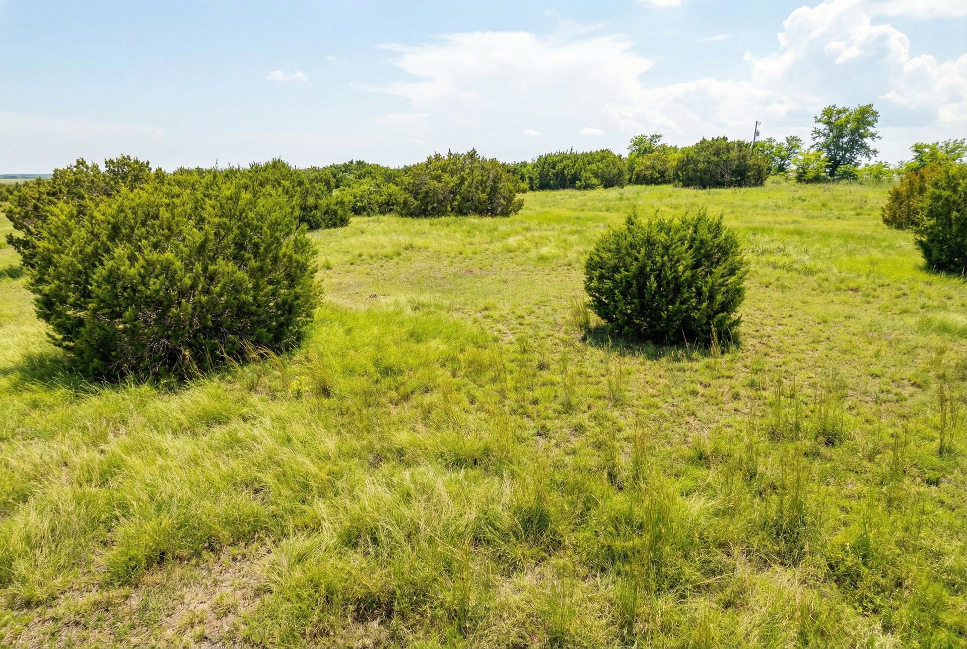 562 County Road 154 Georgetown, TX 78626 - Photo 10 of 13 a view of a lake from a yard