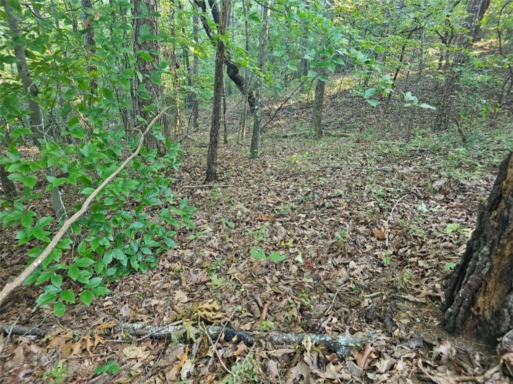 391 Meteor Court Ranger, GA 30734 - Photo 20 of 26 Gallery Image 20