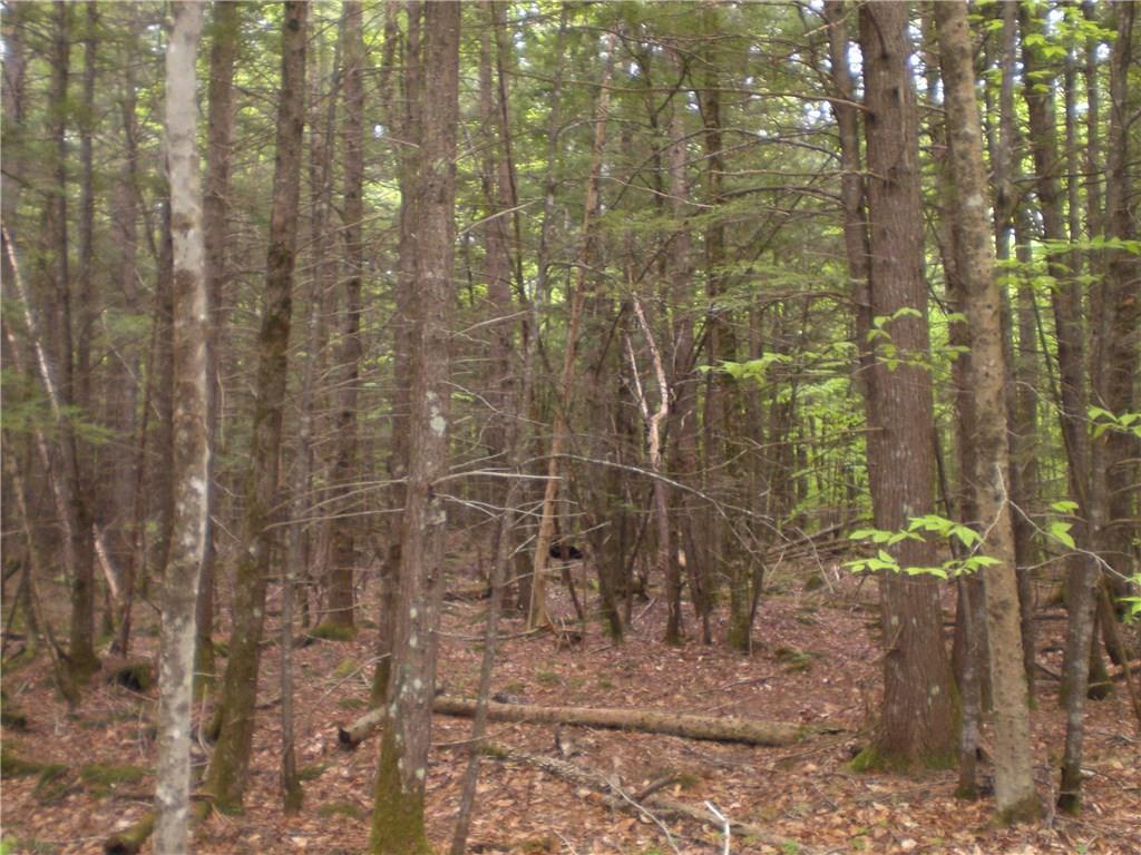 0 Johnson Flat Road Burnham, ME 04922 - Photo 5 of 6 Photo
