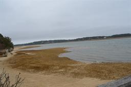 35 Ridge St Extension Wellfleet, MA 02667 - Photo 19 of 24 a view of an ocean and beach