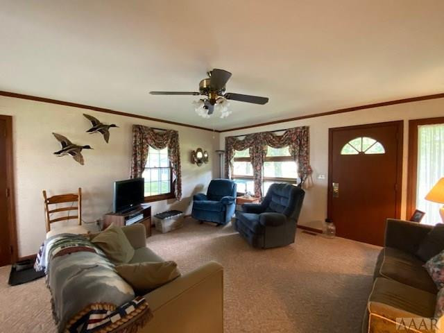99 Ruby Lane Roper, NC 27970 - Photo 4 of 43