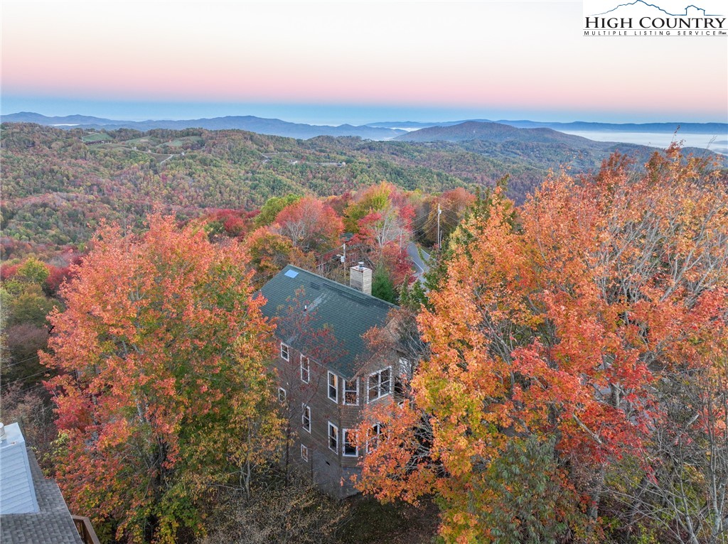 309 Pinnacle Ridge Road Beech Mountain, NC 28604 - Photo 8 of 45