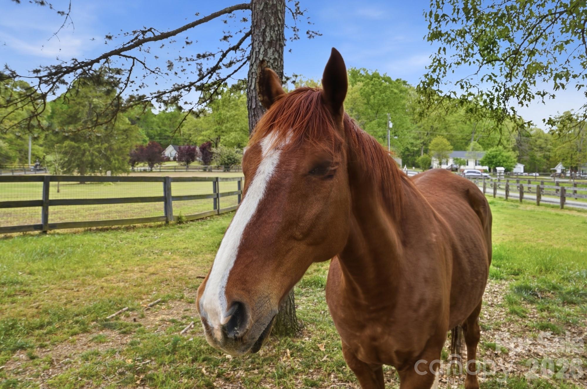 5508 McWhorter Road Waxhaw, NC 28173 - Photo 4 of 45