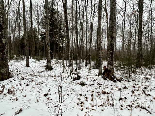 Tbd5 Larson Road Atlantic Mine, MI 49905 - Photo 10 of 56 Gallery Image 10