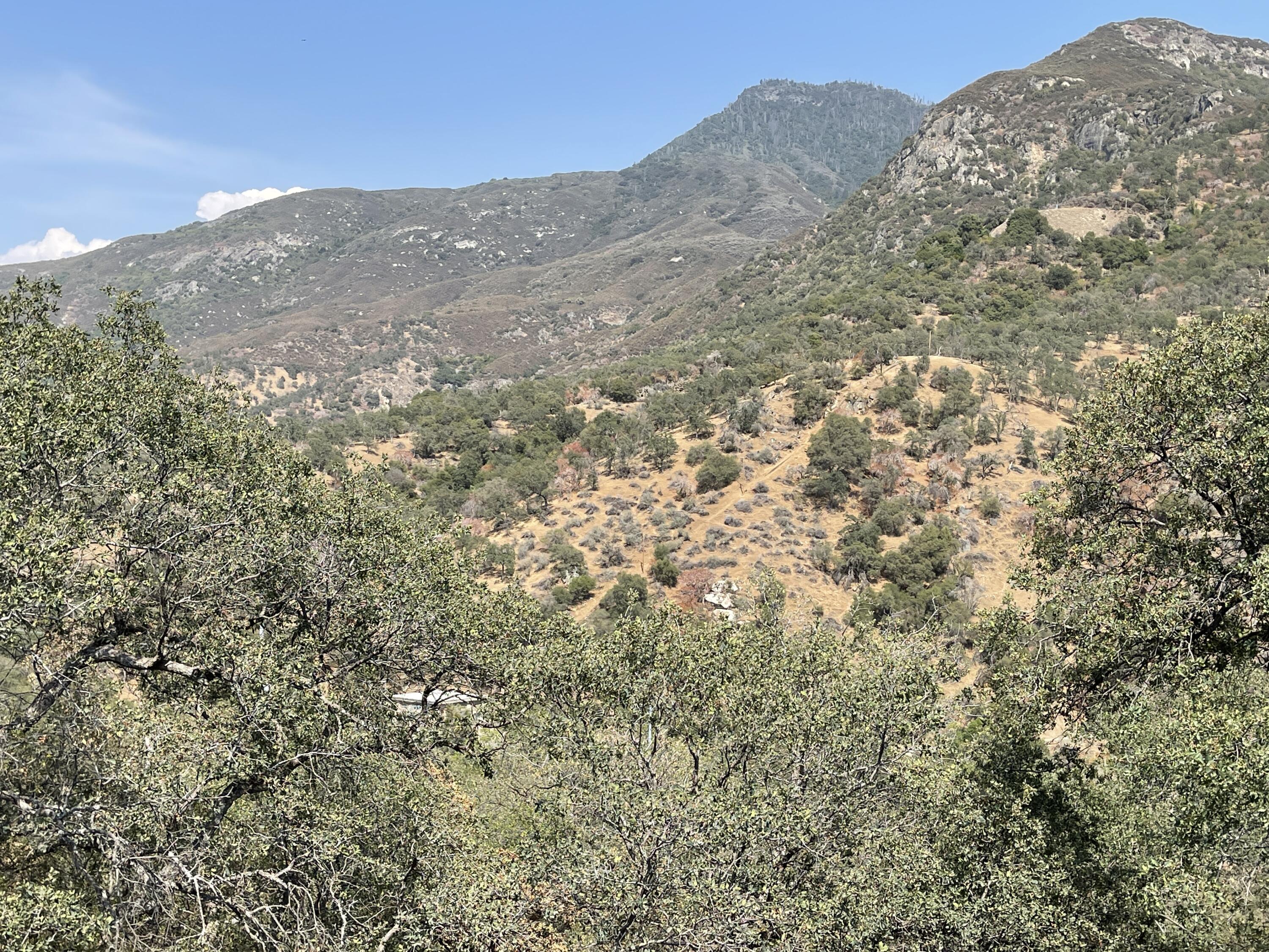 46685 Sycamore Drive, Unit B Three Rivers, CA 93271 - Photo 23 of 24 Photo Jun 16, 3 34 15 PM