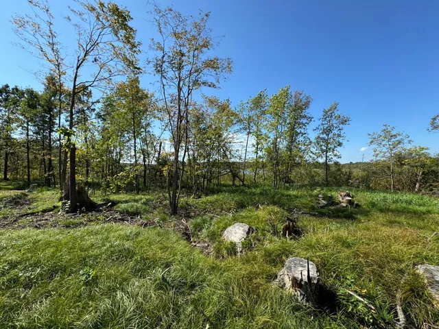 $550,000 | 22535 Cedar Lake Drive, Aitkin, MN 56431