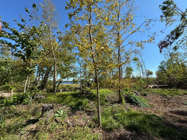 $550,000 | 22535 Cedar Lake Drive, Aitkin, MN 56431