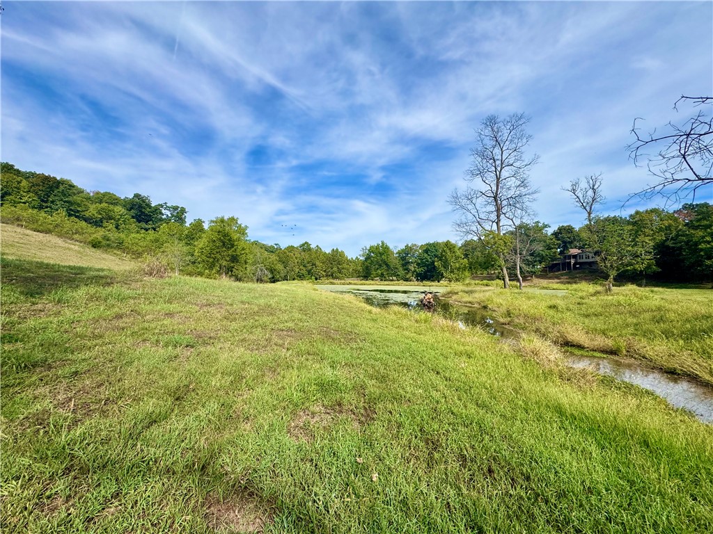 8008 Blackberry Way Decatur, AR 72722 - Photo 5 of 43 Gallery Image 5