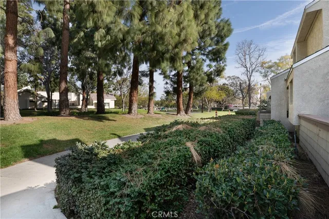 a view of a park with large trees