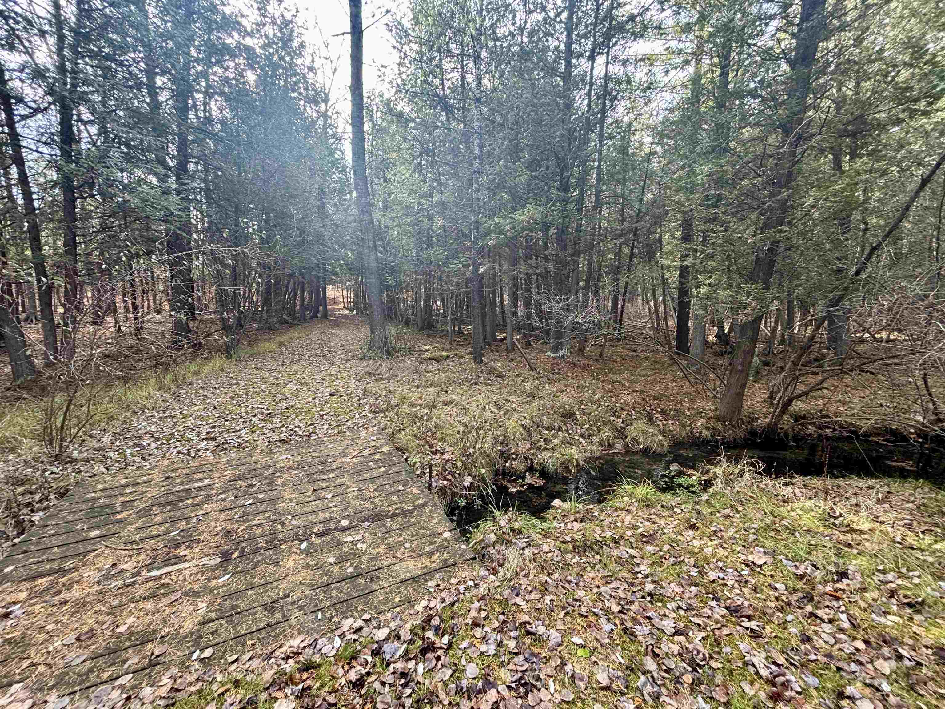 421 West Washington Road Farwell, MI 48622 - Photo 26 of 32