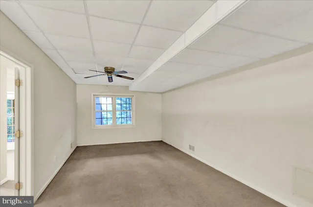 a view of a park with large trees