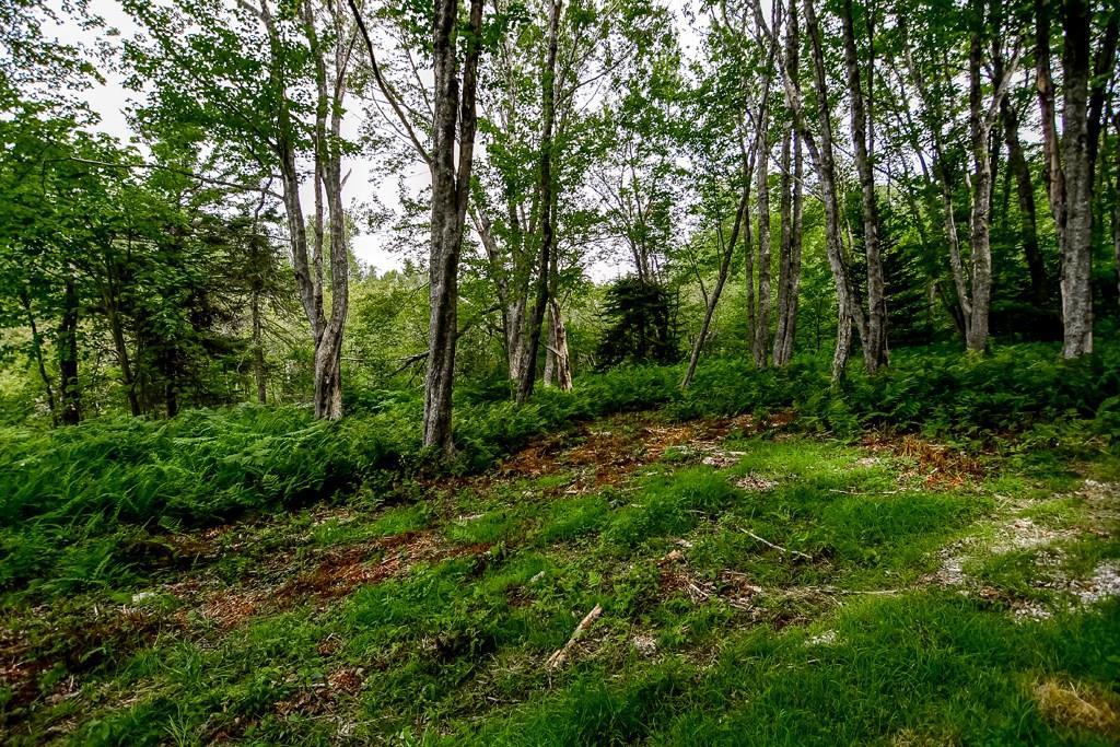 0 Eaton Point Road Deer Isle, ME 04627 - Photo 5 of 21 One building site has been cleared...