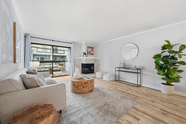 a living room with furniture a fireplace and a potted plant