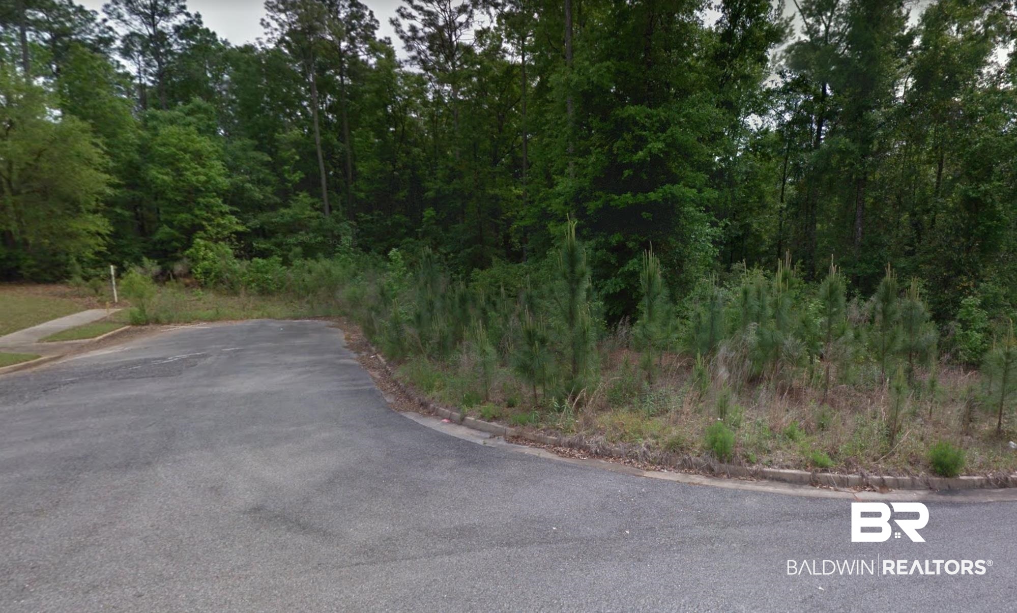 0 Anna Court Mobile, AL 36695 - Photo 2 of 6