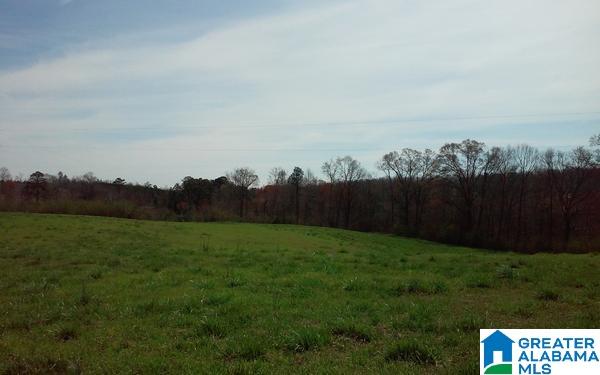 40 County Road, Unit 11 Woodland, AL 36280 - Photo 3 of 6