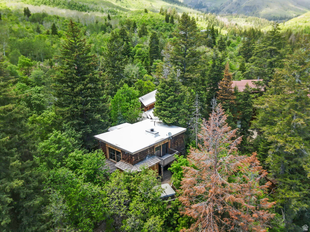8928 Timphaven Road Sundance, UT 84604 - Photo 53 of 54