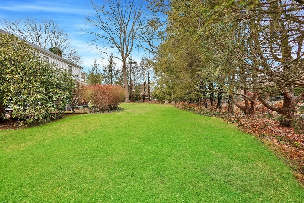 169 Braemoor Road Brockton, MA 02301 - Photo 6 of 42