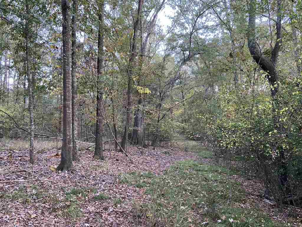 1280 Rice Road Madison, MS 39110 - Photo 11 of 49 Photo 11