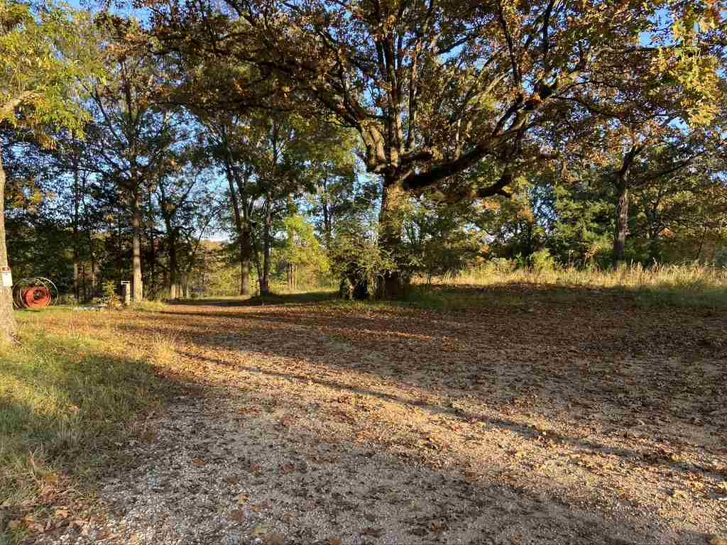1280 Rice Road Madison, MS 39110 - Photo 16 of 49 Photo 16