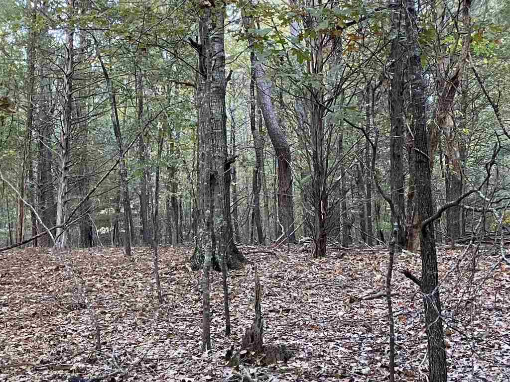 1280 Rice Road Madison, MS 39110 - Photo 17 of 49 Photo 17