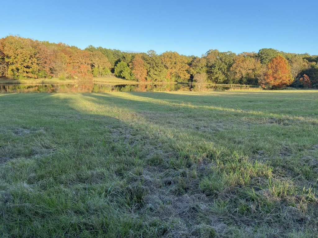 1280 Rice Road Madison, MS 39110 - Photo 32 of 49 Photo 32