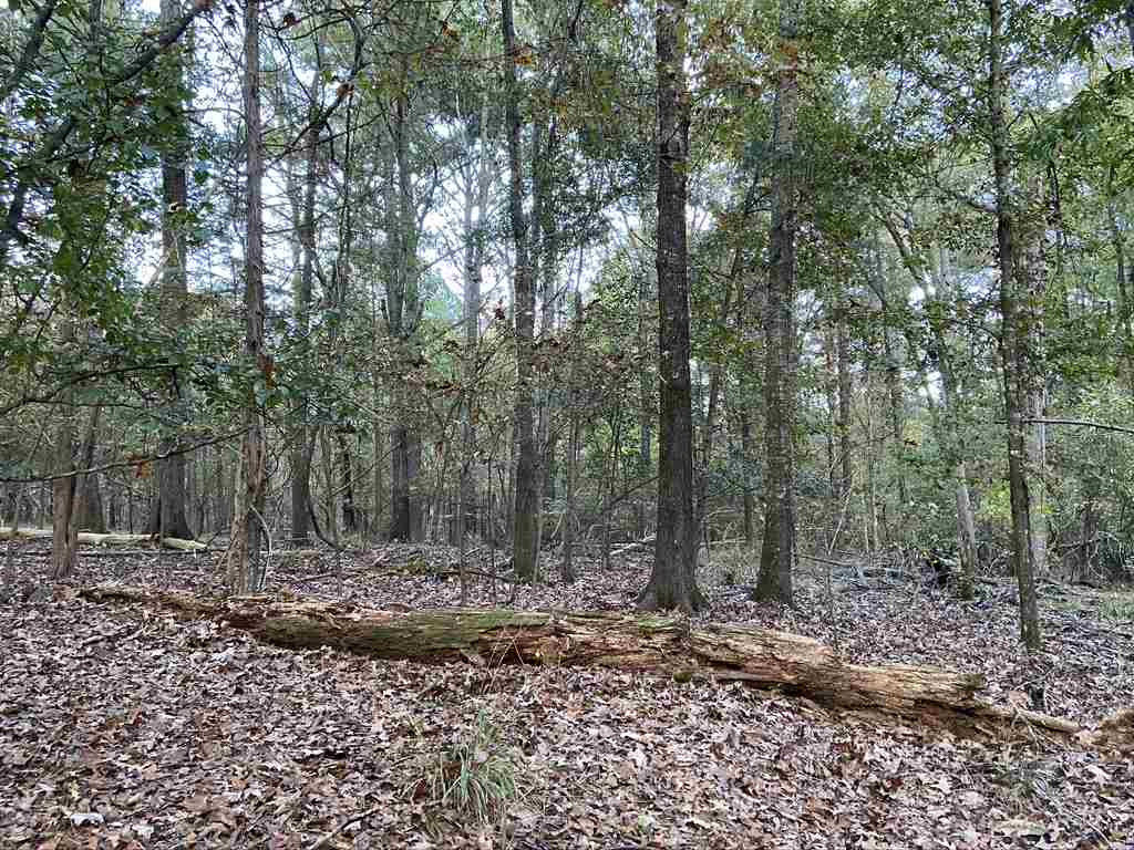 1280 Rice Road Madison, MS 39110 - Photo 4 of 49 Photo 4
