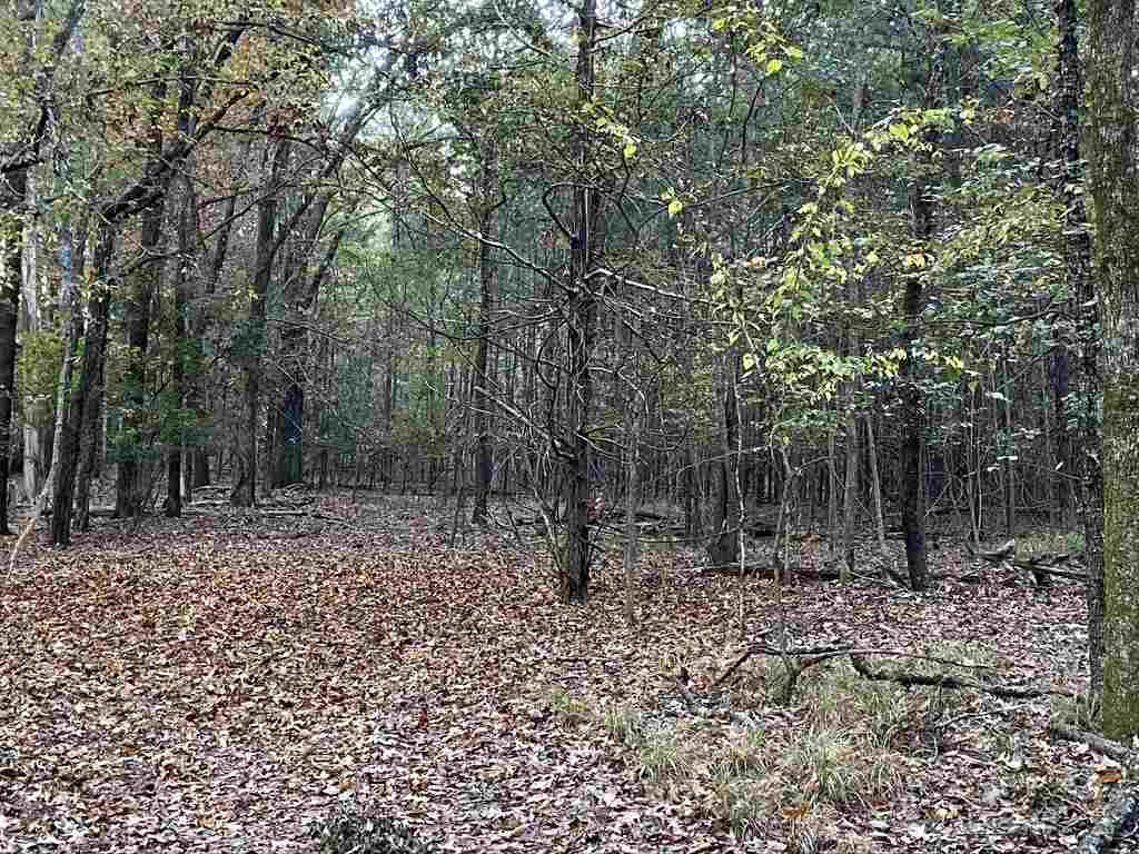 1280 Rice Road Madison, MS 39110 - Photo 5 of 49 Photo 5