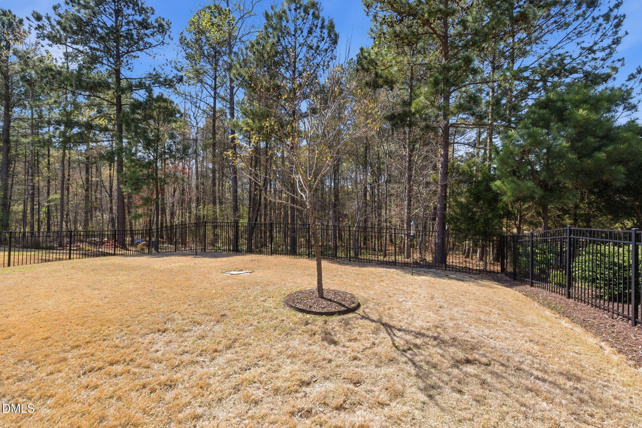 1015 Pondfield Way Durham, NC 27713 - Photo 39 of 48 a backyard of a house with lots of trees