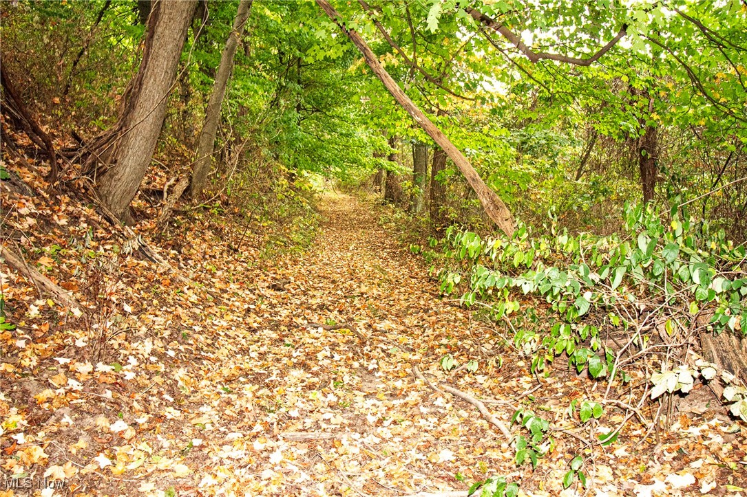 0 Douglas Road Quaker City, OH 43773 - Photo 26 of 27 View of landscape