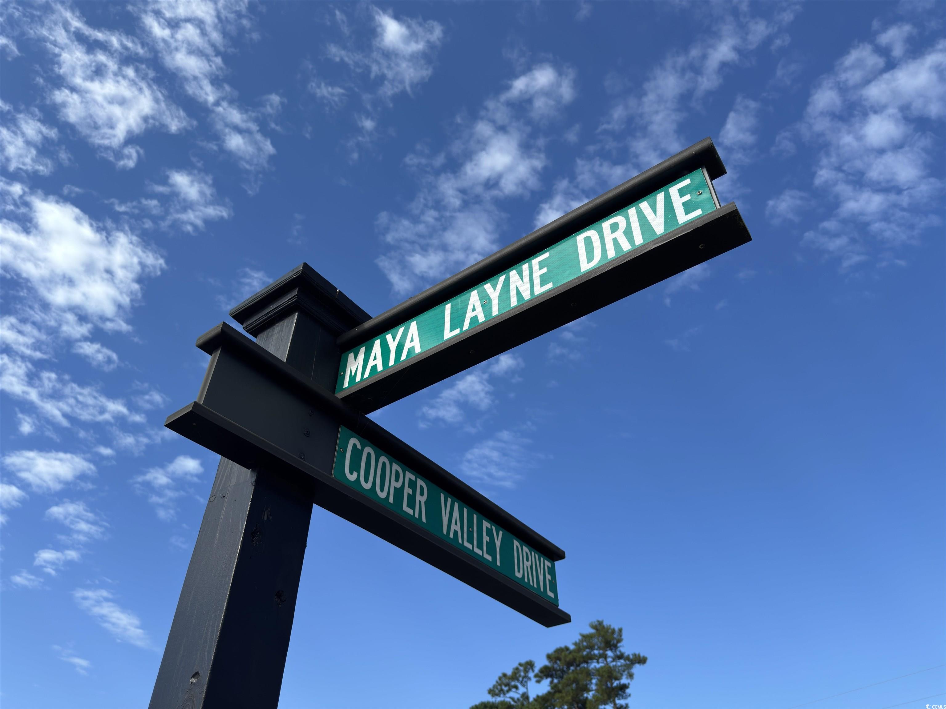 928 Maya Layne Drive Little River, SC 29566 - Photo 36 of 40 Exterior view