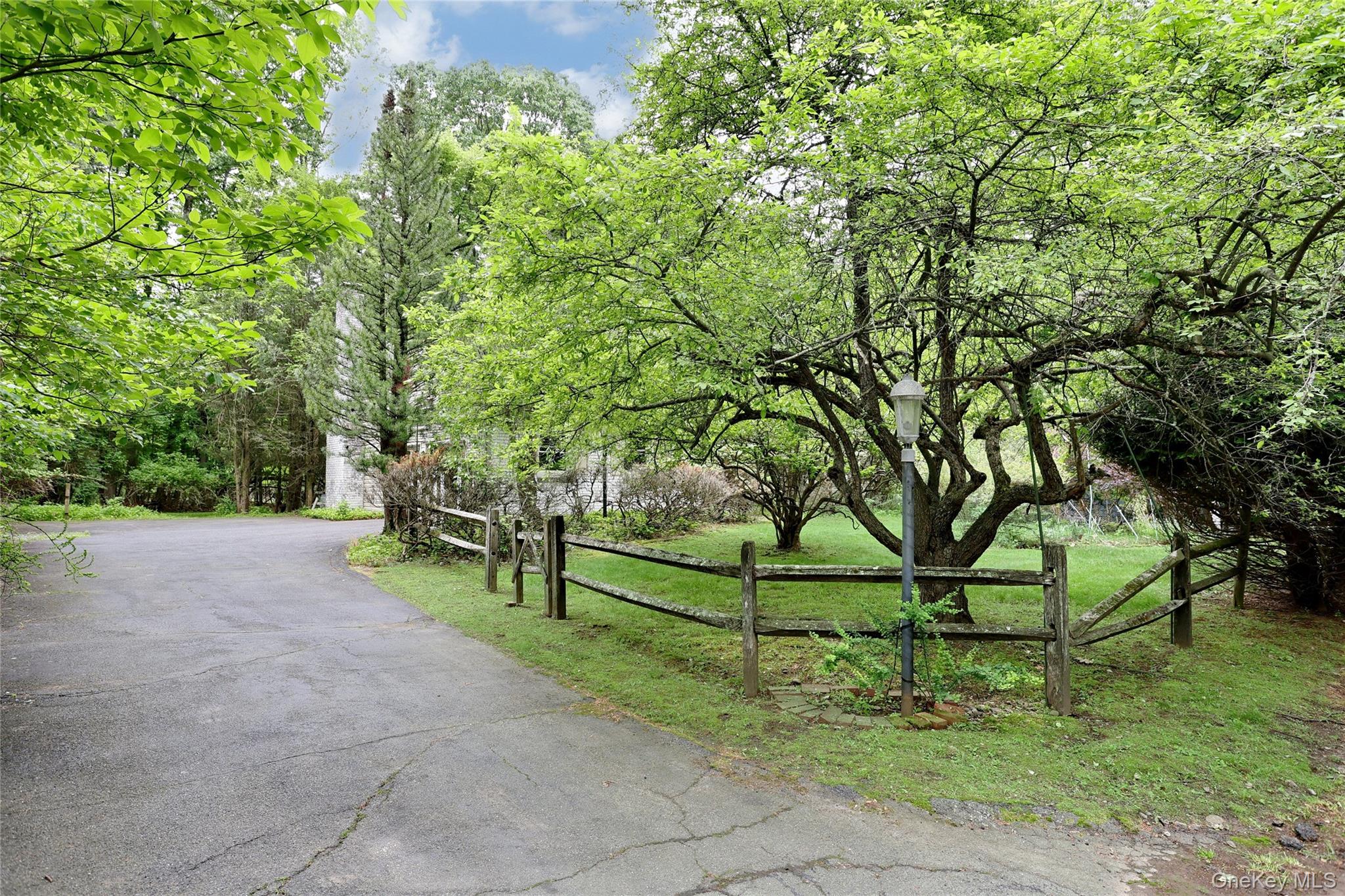 8 Swallow Avenue Spring Valley, NY 10977 - Photo 20 of 28 a view of backyard with trees