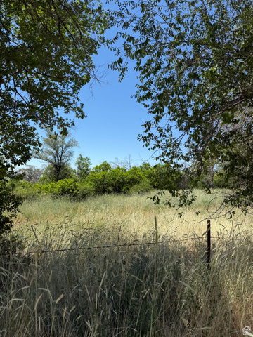 1792 Valley View Drive Layton, UT 84040 - Photo 2 of 18 Expansive grassy field framed by mature trees
