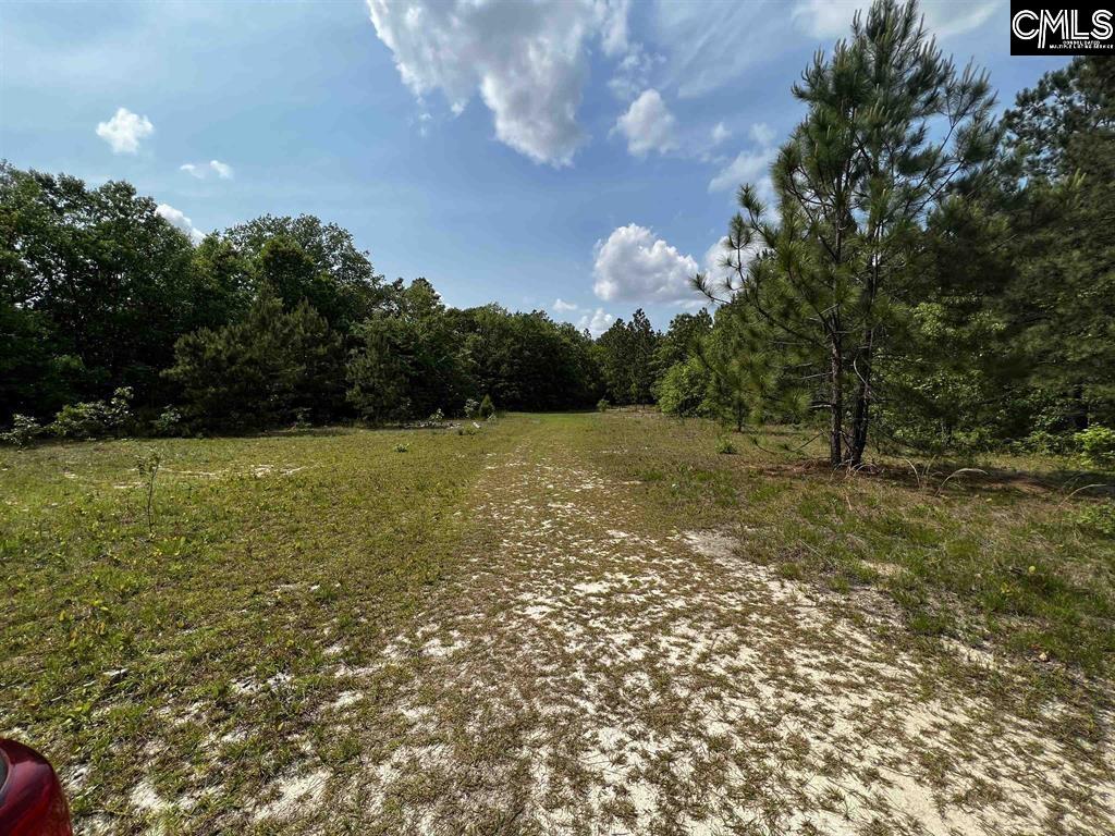 410 Boy Scout Road Gaston, SC 29053 - Photo 2 of 4