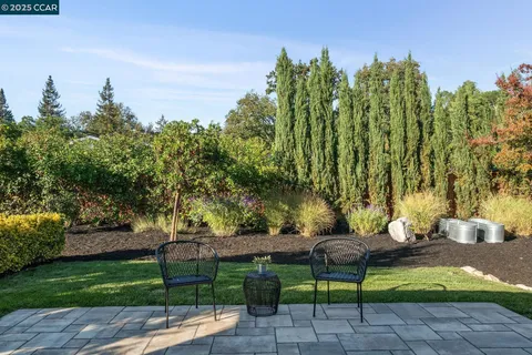 a view of a yard with plants and trees