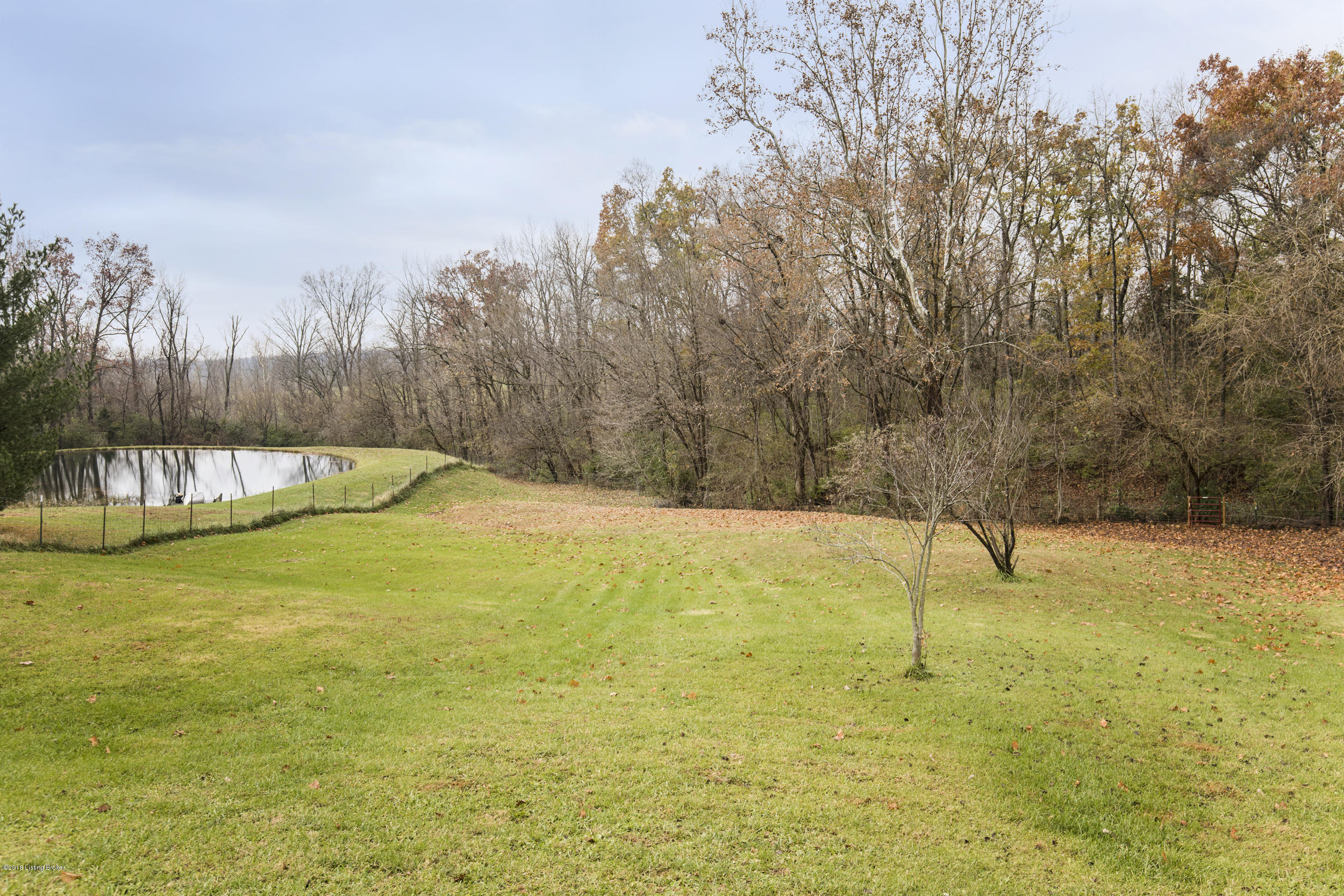 388 Bart Smith Road Smithfield, KY 40068 - Photo 42 of 45 42-rear yard