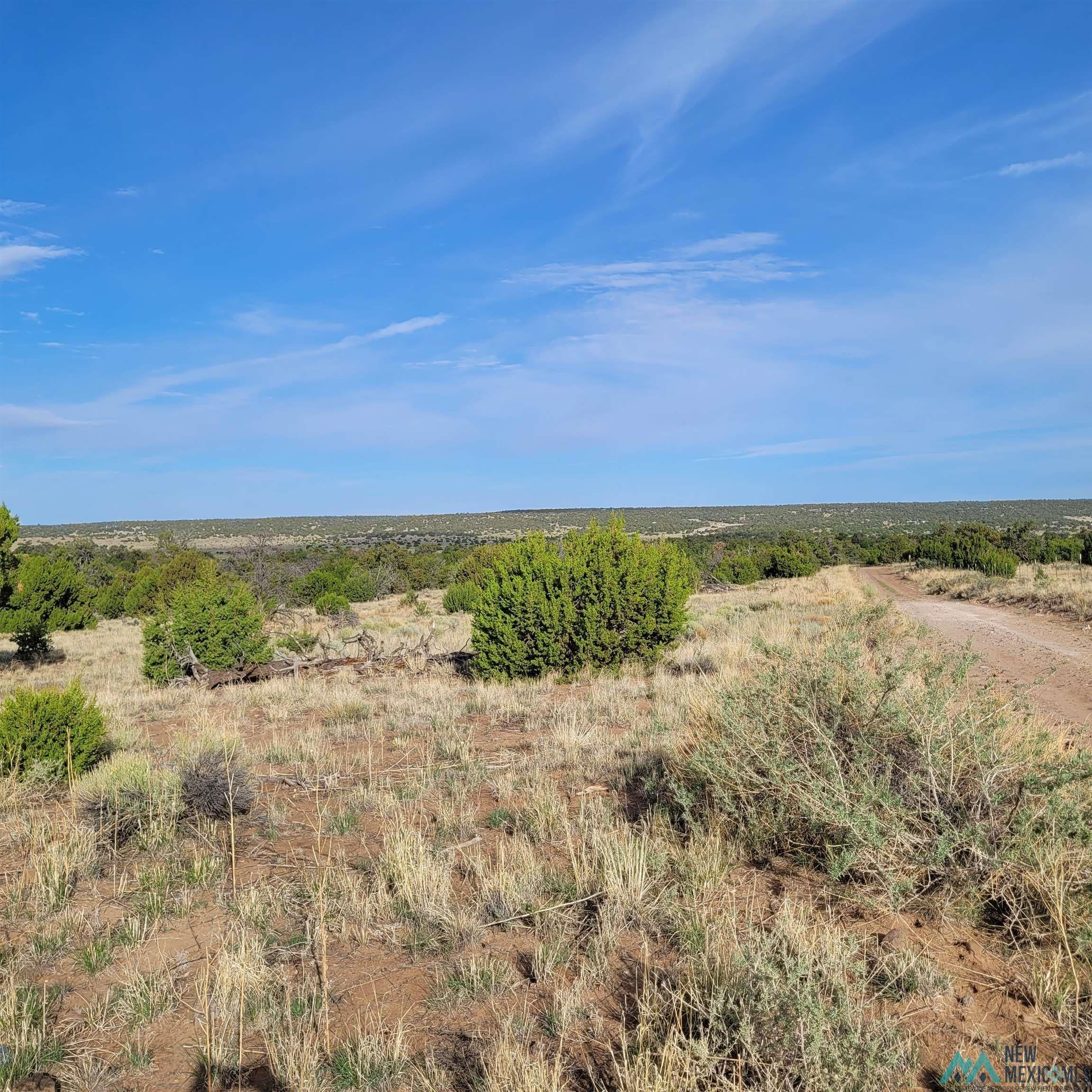 Xx Xx Indian Road Quemado, NM 87829 - Photo 2 of 11 View of local wilderness featuring rural landscape