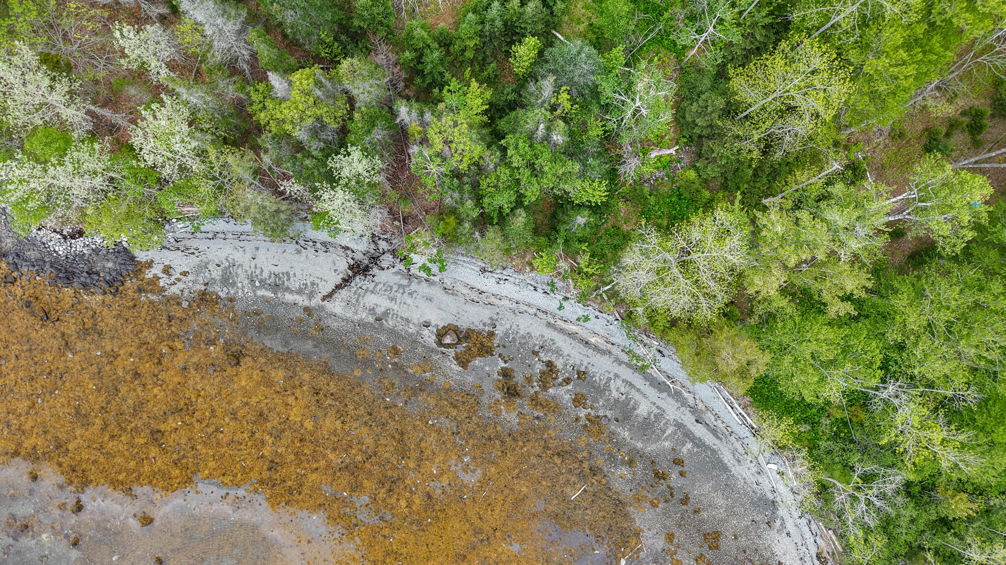 36 Wiegand Place Deer Isle, ME 04650 - Photo 82 of 100 dji_fly_20260528_170400_0546_17800027369