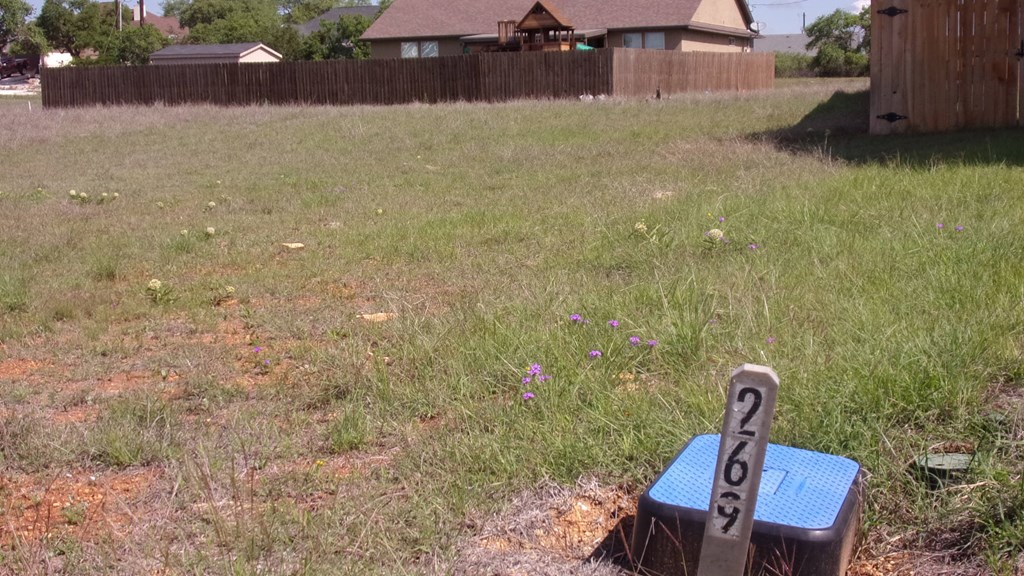 112 Hiram Cook, Unit 269 Blanco, TX 78606 - Photo 5 of 10