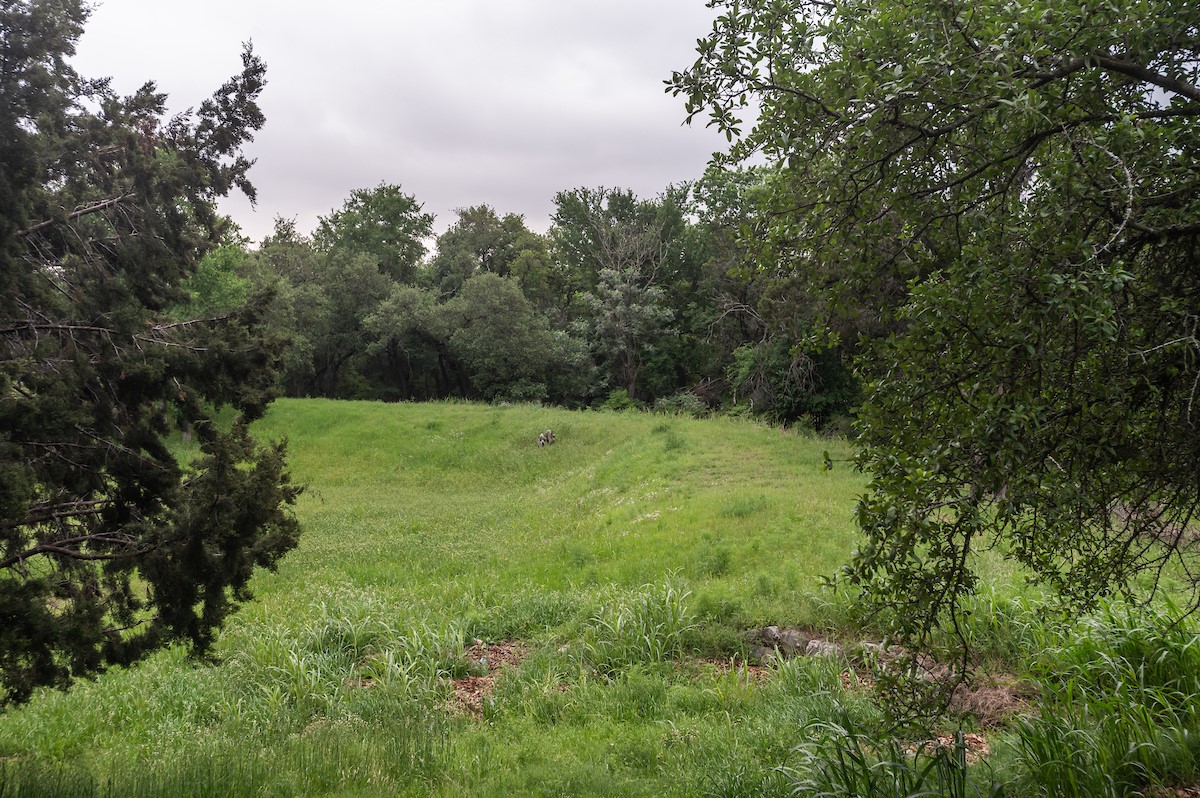 11513 Juniper Ridge Drive Austin, TX 78759 - Photo 35 of 35