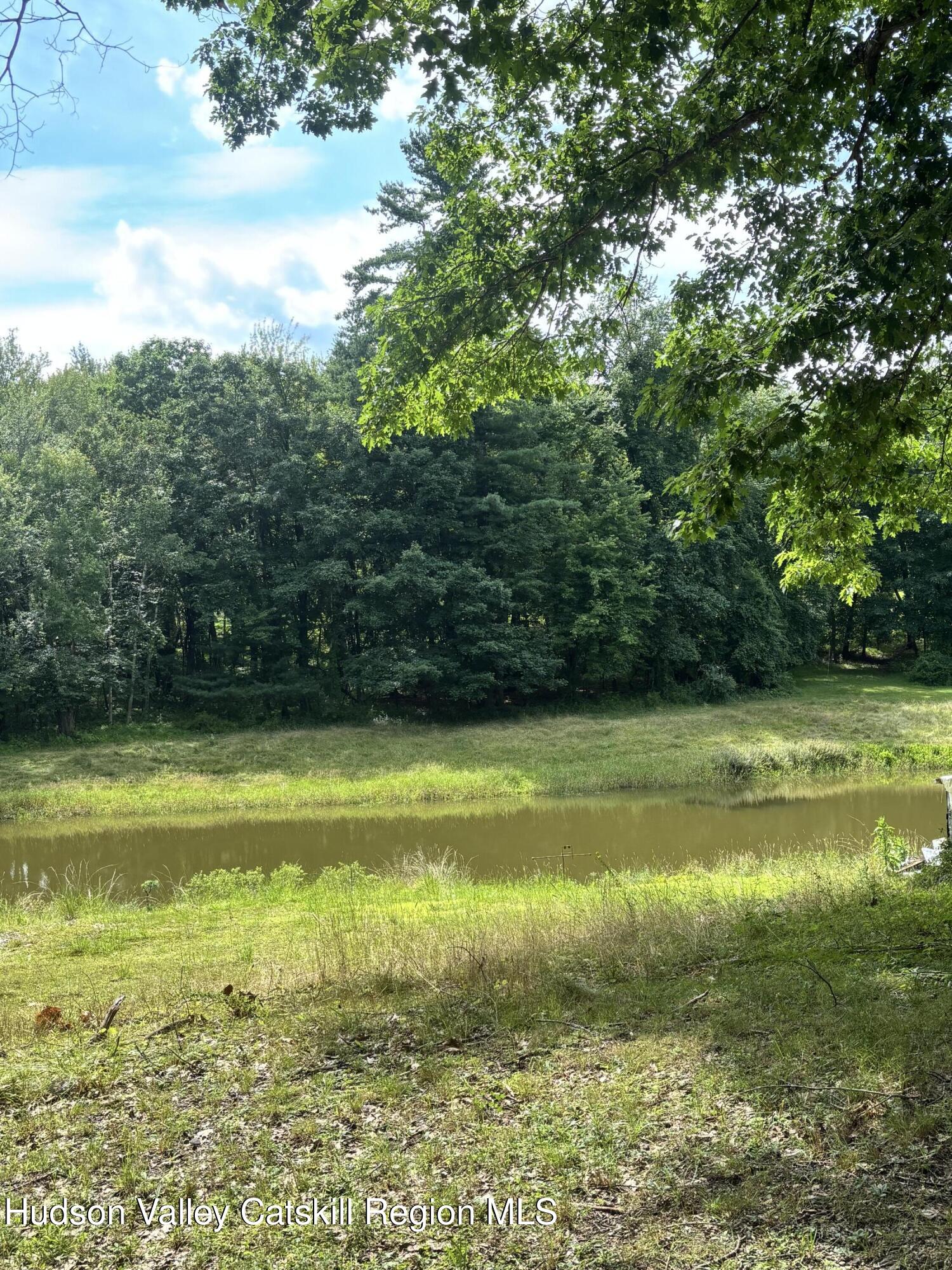 167 Woodland Road Craryville, NY 12521 - Photo 2 of 8 IMG_2892