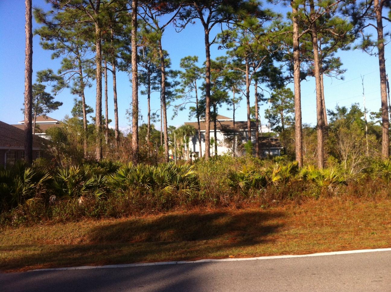 Lot 14 Las Roblas Grande Santa Rosa Beach Santa Rosa Beach, FL 32459 - Photo 1 of 4 mac bayou lot 14 reeves
