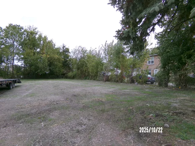 a view of a yard with a tree