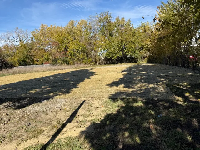 a view of dirt yard with a large tree