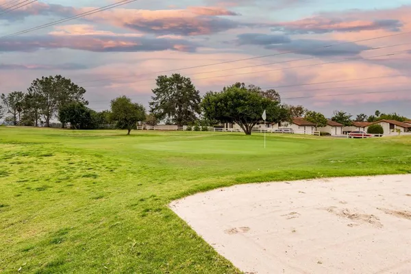 a view of a big yard with a large trees