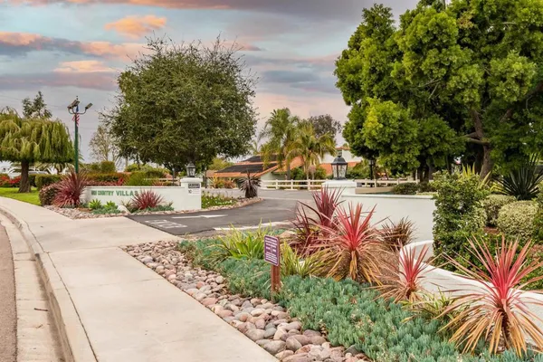 a view of a backyard with plants and trees